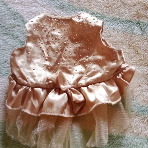 Dress for small dog like new