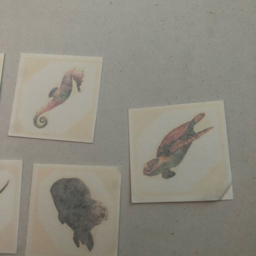 Temporary tattoos with sea animals, like new, set of 9