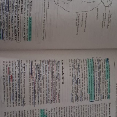 Clinical Neuroanatomy book used, Greek