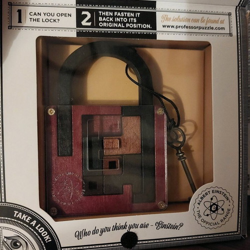 The Einstein Collection Lock Puzzle new