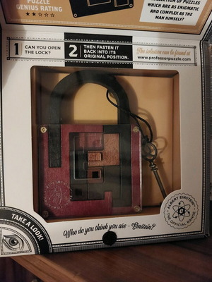 The Einstein Collection Lock Puzzle new