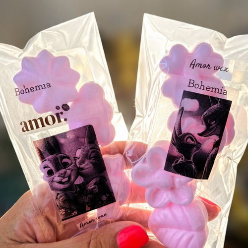 Wax melts with your choice of scent
