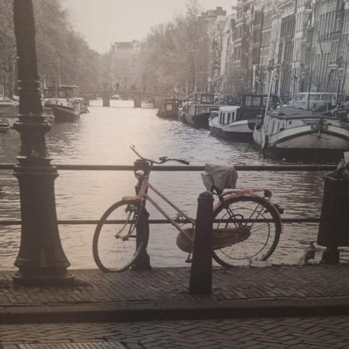 IKEA VILSHULT Amsterdam wall art used, aluminum frame 140x100 cm