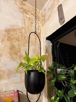 Metal Hanging Planter like new