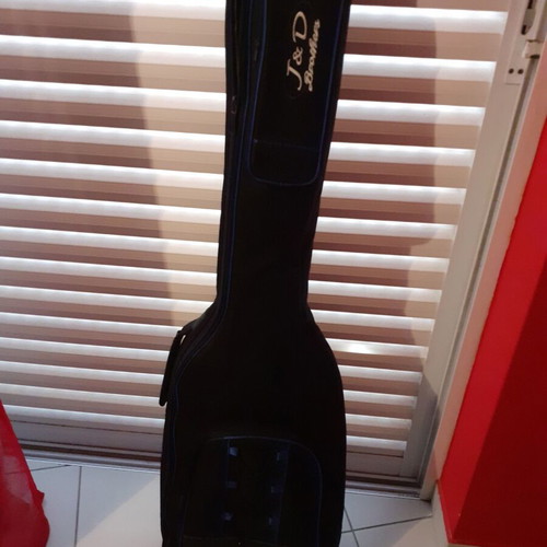 Bass case
