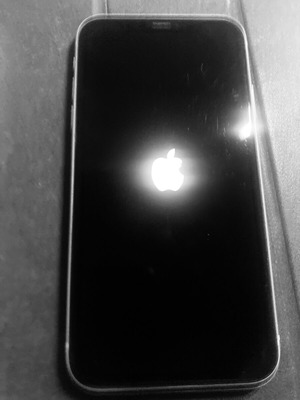 Apple iPhone 11 употребяван 64GB бял с дамски калъфи и кабел
