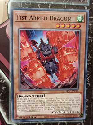 Fist Armed Dragon card like new