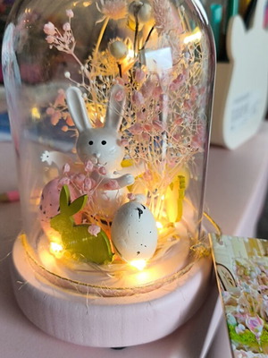Room decorative light for home new