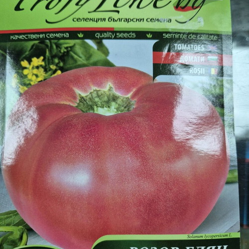 Tomatoes Bulgarian varieties new