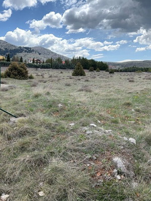 Парцел 8 624 кв.м. в Ливади Арахова Парнас, за строителство