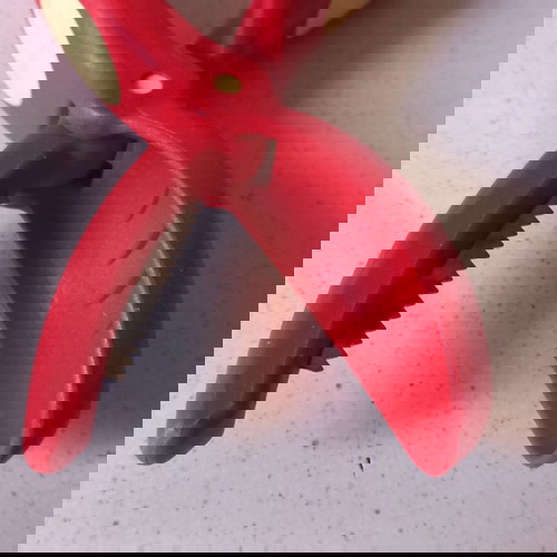 Λαβίδα για κάστανα snips