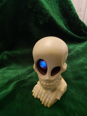Fotorama Johnny The Skull skeleton doll used