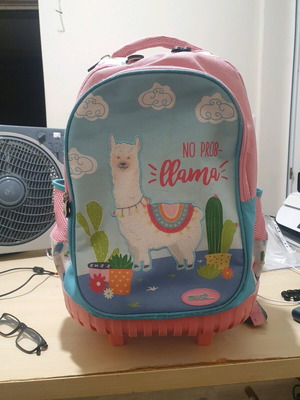School bag like new