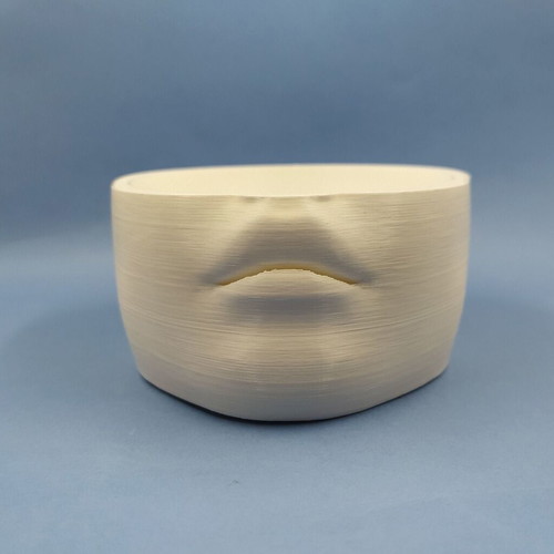 3D Printed Female Face Planter New