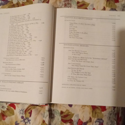 English Romantic Writers book like new