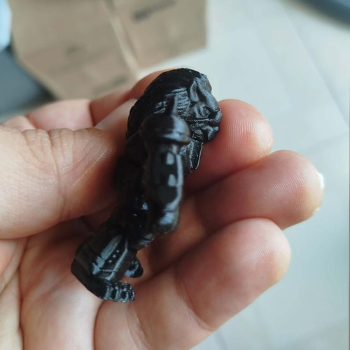 Lion figure black printed new