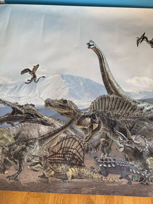 Dinosaur poster like new, waterproofed
