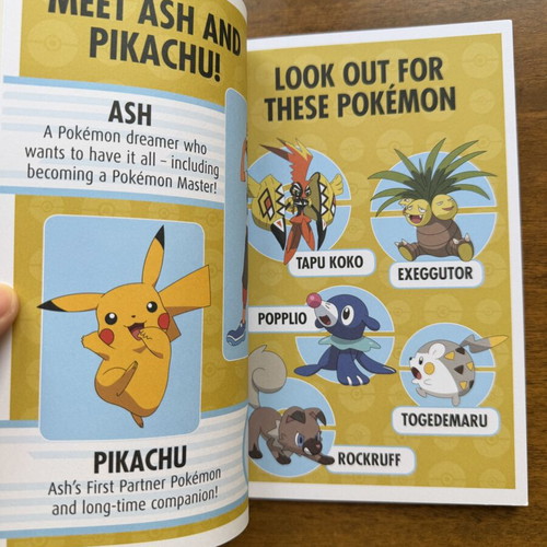 Pokemon Early Reader The Guardian's Challenge book like new, English