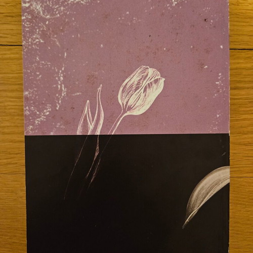 The Black Tulip by Alexandre Dumas like new, Greek edition