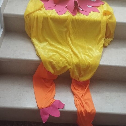 Carnival costume like new, yellow bird design