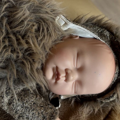 Anne Geddes big size hedgehog doll