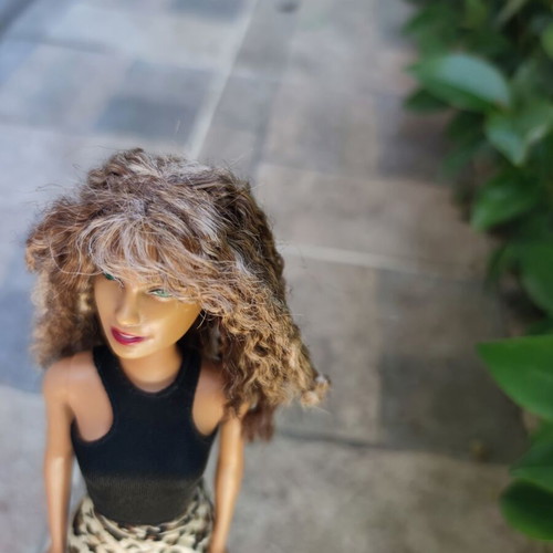 Barbie Curly Hair used, modern Esmeralda OOAK with clothes