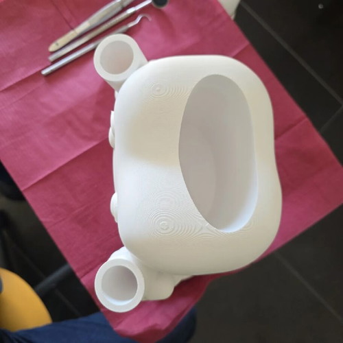 Handmade 3D Print Toothbrush and Toothpaste Holder New