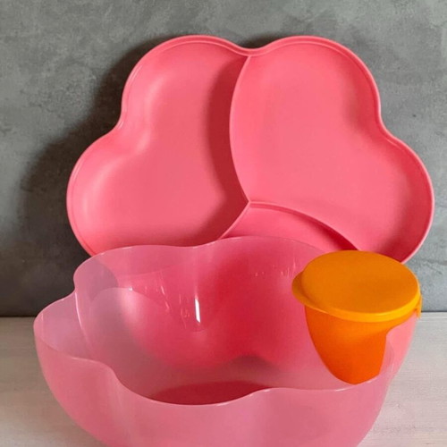 Tupperware Chip Dip Party new