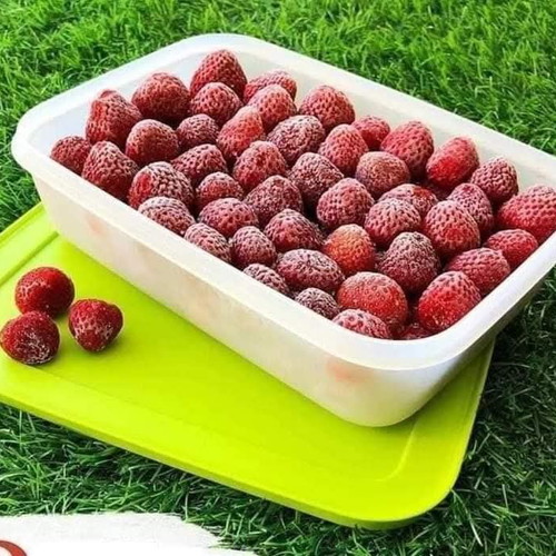 Freezer containers 1.1 liters, flexible material, new