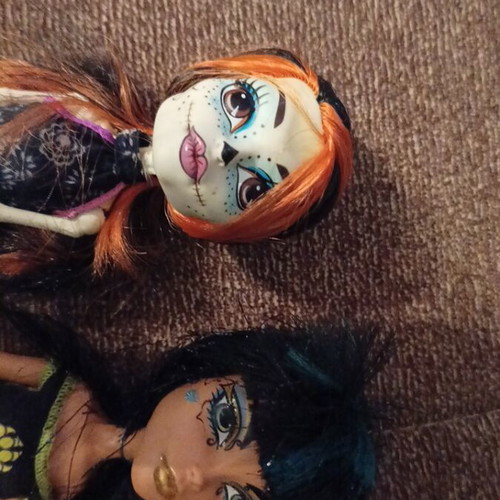 Monster High Skelita and Cloe dolls like new