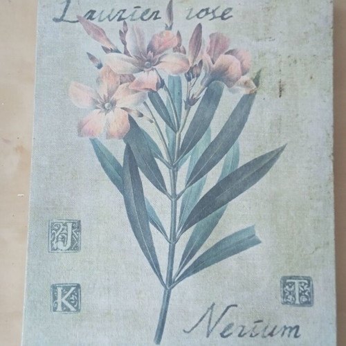 Decorative wooden frame Pierre Joseph Redouté Nerium oleander used