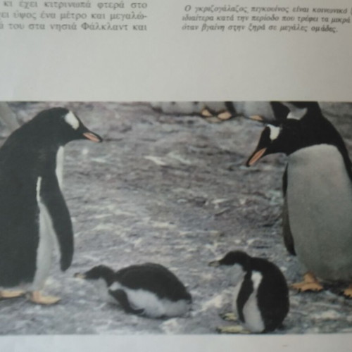 The Wonders of the Animal World like new