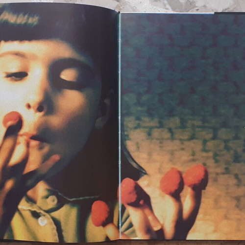 The Album of Amelie Poulain book like new, Greek language