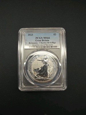 2023 Silver Britannia Silver Coin with Charles III new