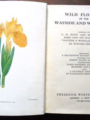 Wild Flowers of the Wayside and Woodland used book 1940