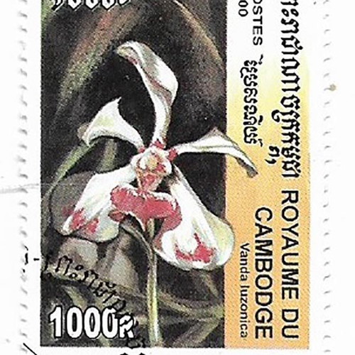 Cambodia 2000 orchids 4 stamps CTO new