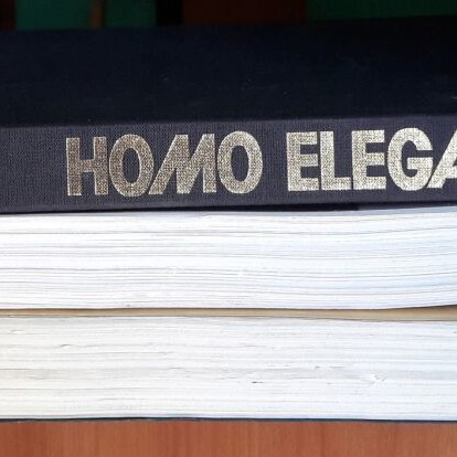 Homo Elegans book like new, ideal men's wardrobe guide