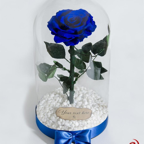 Blue natural eternal rose in large glass dome made to order