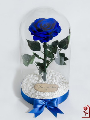 Blue natural eternal rose in large glass dome made to order