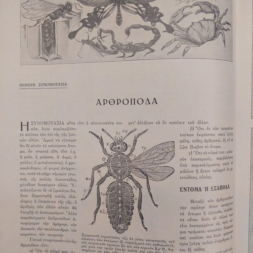 O Bios ton Zoon book used, Eleftheroudakis edition 1932