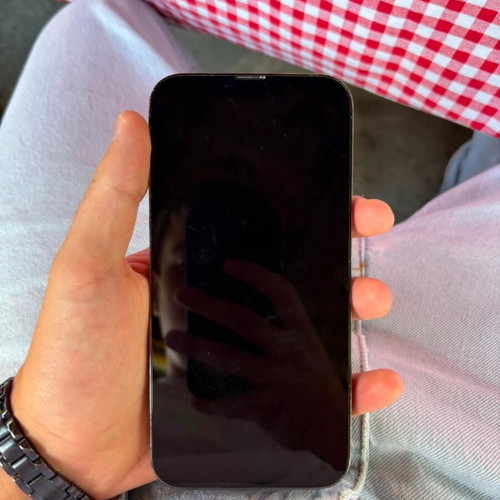 Apple iPhone 13 Pro Max 256GB, green, dual SIM
