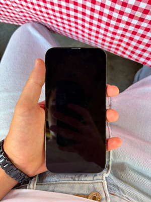 Apple iPhone 13 Pro Max 256GB, green, dual SIM