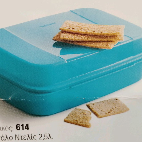 Delis 2.5-liter new container for serving and storage