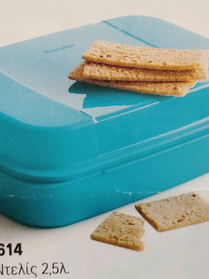 Delis 2.5-liter new container for serving and storage