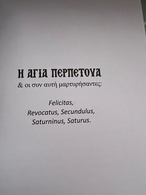 Saint Perpetua book new