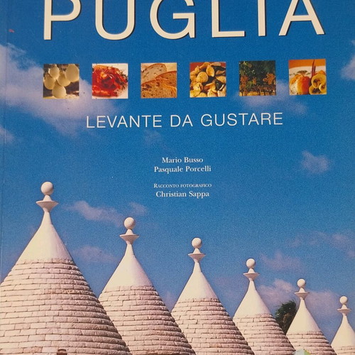 Travel book new