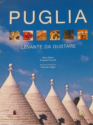 Travel book new
