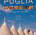 Travel book new