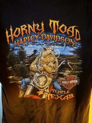 Harley Davidson vintage Y2K shirt medium black used