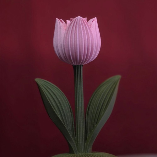 Decorative tulip new with ribbed texture